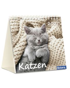 Katzen 2027 Tischkalender
