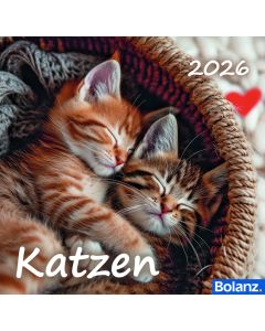 Katzen 2026