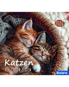 Katzen 2026 (Minikalender)