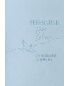 Begegnung fürs Leben, Kunstleder