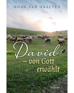 David - von Gott erwählt