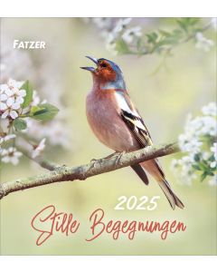 Stille Begegnungen 2025