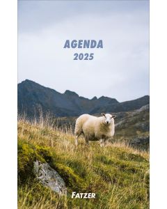 Agenda 2025