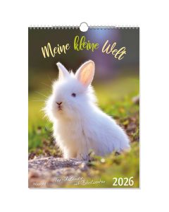 Meine kleine Welt 2026