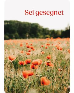 Postkarte Sei gesegnet