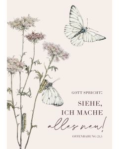 Poster A3 'Gott spricht: Siehe, ich mache alles neu!