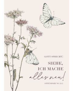 Postkarte 10 Ex. 'Gott spricht: Siehe, ich mache alles neu!