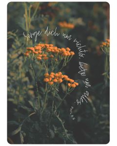 Postkarte Sorge dich um nichts