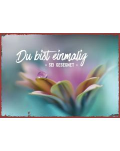 Metallschild Du bist einmalig - sei gesegnet