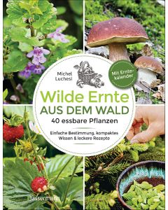 Wilde Ernte aus dem Wald