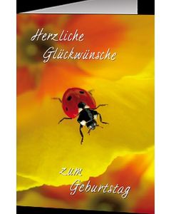 Faltkarte 'Leg alles in Gottes Hand'