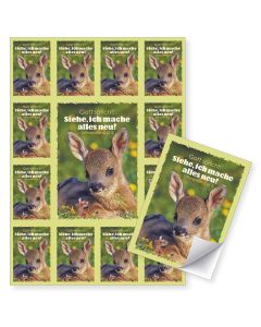 Aufkleber-Grußkarten  12 Karten im Set                      'Gott spricht: Siehe, ich mache alles neu! Offenbarung 21,5'