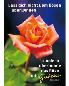 Raumbild A3 'Lass dich nicht vom Bösen'
