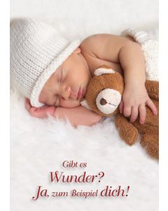 Poster A3 'Gibt es Wunder?'