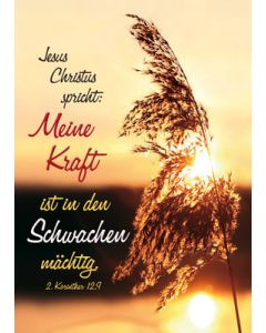 Raumbild A3 'Meine Kraft ist in ...'