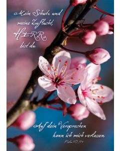 Poster A3 'Mein Schutz und meine ...'