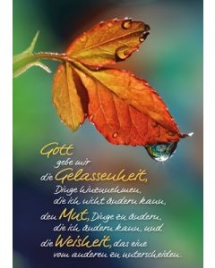 Postkarte 'Gott gebe mir die ...' 12 Ex.