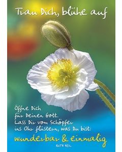 Poster A3 'Trau Dich, blühe auf'