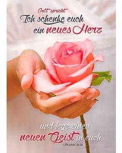 Poster A4 'Ich schenke euch'