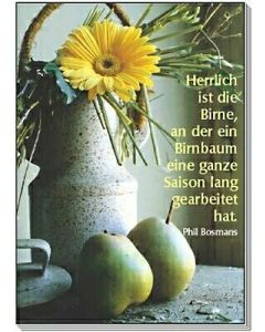 POSTKARTENSERIE 12 ST.