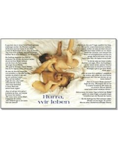 Maxi-Postkartenserie 12 Stück