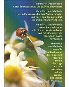 Postkartenserie 12 Stück