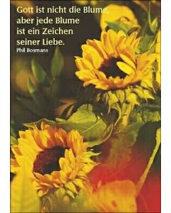 Postkartenserie 12 Stück
