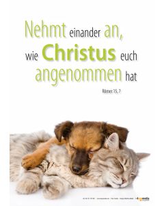 Poster A3 laminiert 'Nehmt einander an, wie Christus euch angenommen hat.'