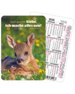 Spielkartenkalender 'Siehe, ich mache alles neu!            Offenbarung 21,5'